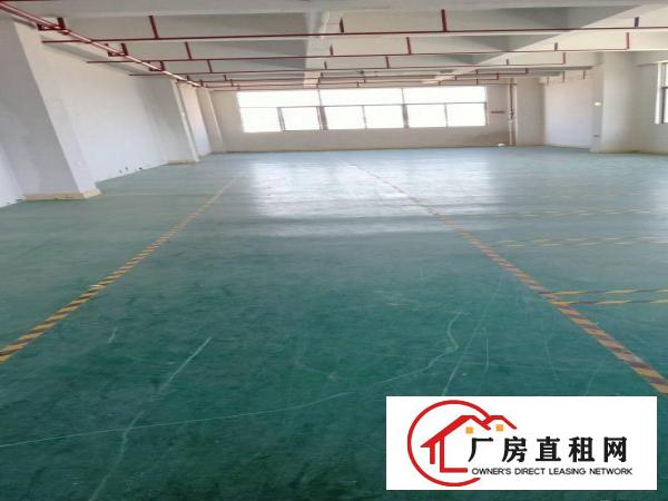  新出电子厂整层2000平米带装修双电梯水电到位业主直租