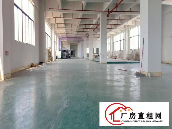  新出电子厂整层2000平米带装修双电梯水电到位业主直租