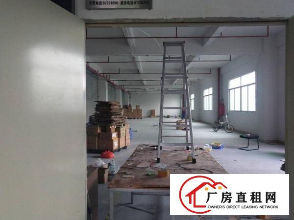  凤岗工业园空出5楼1260带豪华装修，拎包入住