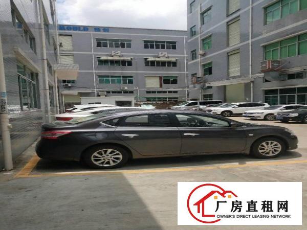  凤岗工业园空出5楼1260带豪华装修，拎包入住