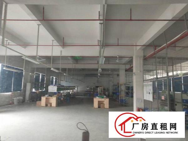  凤岗工业园空出5楼1260带豪华装修，拎包入住