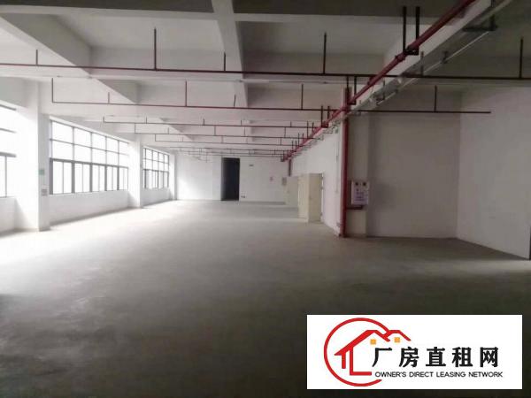  原房东独门独院厂房，现成办公室，，园区空地超大，周边配套齐全