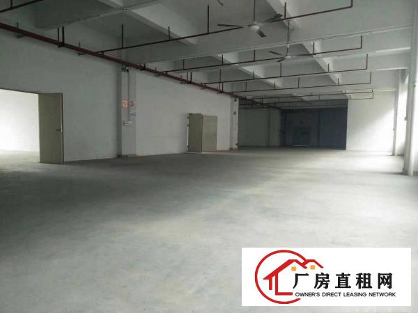  原房东独门独院厂房，现成办公室，，园区空地超大，周边配套齐全