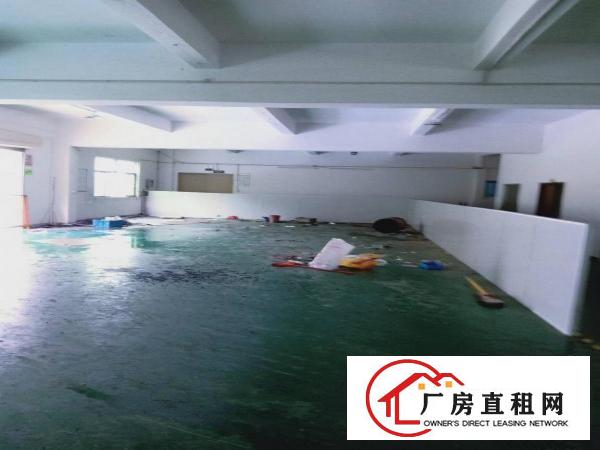  注塑模具厂二楼标准厂房1200平米带现成装修水电