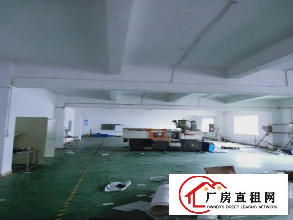  注塑模具厂二楼标准厂房1200平米带现成装修水电