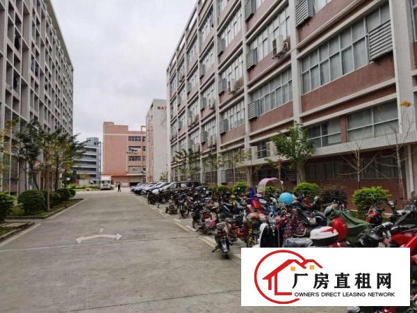  凤岗雁田工业区厂房仓库招租5万平方200平方起租现在无尘车间