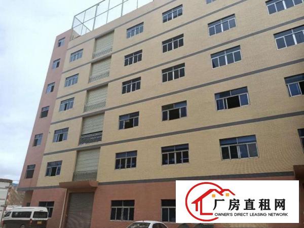  凤岗新出楼上1000平原房东全新厂房适合各种行业！