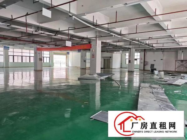  凤岗五联新出二楼2600平米精装修水电到位厂房出租300起租