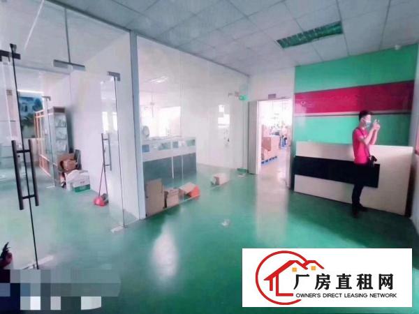  凤岗金凤凰楼上整层1350平招租带消防喷淋水电装修
