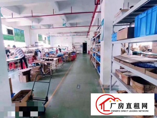  凤岗金凤凰楼上整层1350平招租带消防喷淋水电装修
