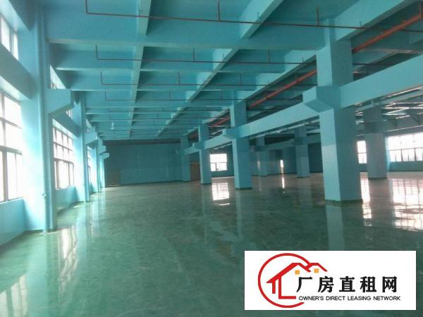  凤岗雁田大型工业园形象好标准厂房出租5万平方大小分租可办环评