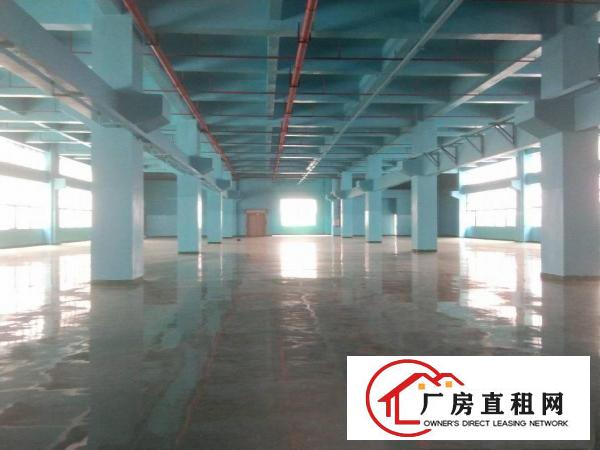  凤岗雁田大型工业园形象好标准厂房出租5万平方大小分租可办环评