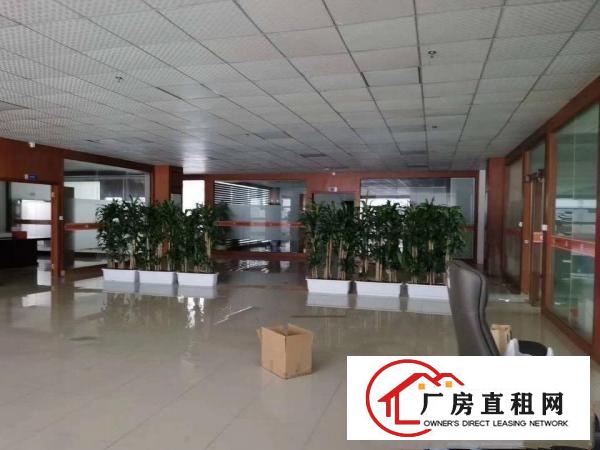  凤岗雁田大型工业园形象好标准厂房出租5万平方大小分租可办环评