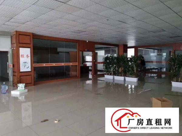  凤岗雁田大型工业园形象好标准厂房出租5万平方大小分租可办环评
