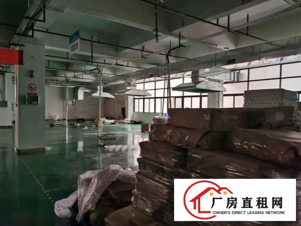  凤岗雁田大型工业园形象好标准厂房出租5万平方大小分租可办环评