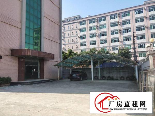  雁田新出独院厂房，500到900平方，现成办公室装修水电齐全