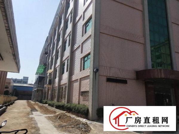  雁田新出独院厂房，500到900平方，现成办公室装修水电齐全
