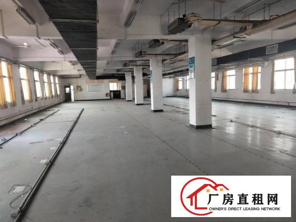  雁田新出独院厂房，500到900平方，现成办公室装修水电齐全
