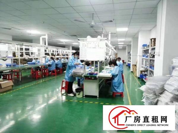  凤岗雁田原房东二楼800平方带装修急租