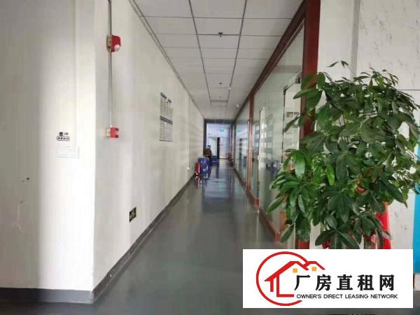  凤岗雁田原房东二楼800平方带装修急租