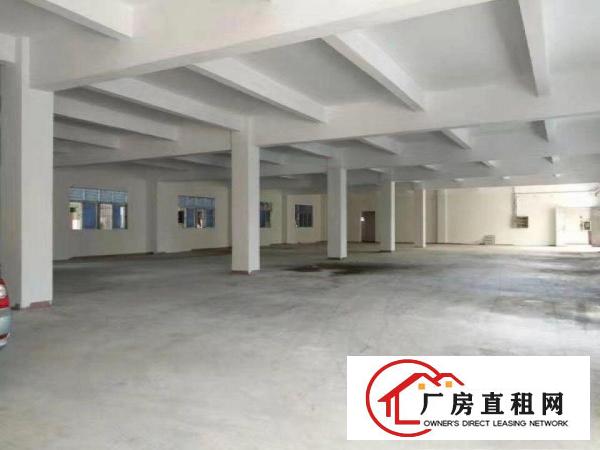  凤岗全新楼上厂房出租）带电梯1000平米全新仓库出租