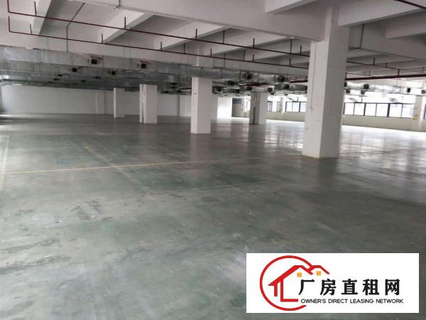  价格便宜带装修消防喷淋凤岗五联楼上厂房出租2000平方