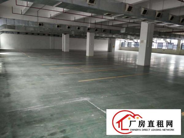  价格便宜带装修消防喷淋凤岗五联楼上厂房出租2000平方