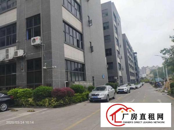  价格便宜带装修消防喷淋凤岗五联楼上厂房出租2000平方