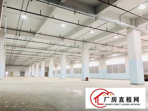  全新红本厂房，现成行车地坪漆豪华装修现成配套，空地超大！