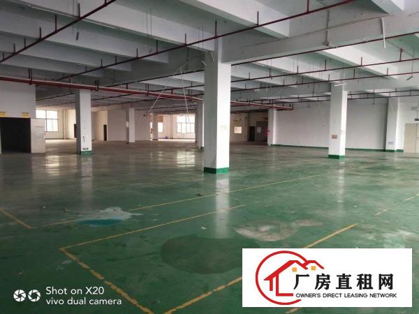  凤岗业主小独院厂房分租一楼500方23元，楼上700方15元