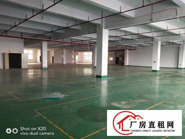  凤岗业主小独院厂房分租一楼500方23元，楼上700方15元
