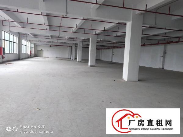  凤岗业主小独院厂房分租一楼500方23元，楼上700方15元
