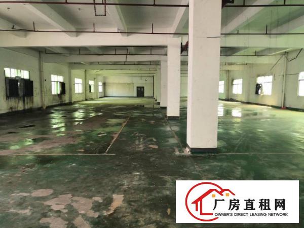  雁田海关刚刚空出一楼厂房1560平方空地超大带办公室水电装修