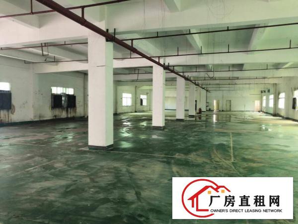  雁田海关刚刚空出一楼厂房1560平方空地超大带办公室水电装修