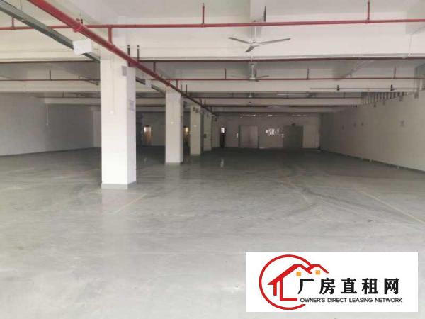  无公摊！现成装修凤岗五联楼上厂房出租2000平靠近深圳