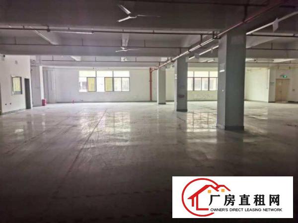  无公摊！现成装修凤岗五联楼上厂房出租2000平靠近深圳