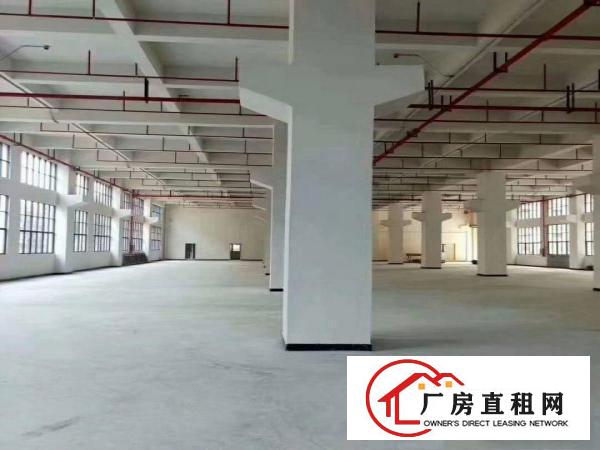  凤岗主干道边上原房东厂房实际面积出租单层面积1800平方。