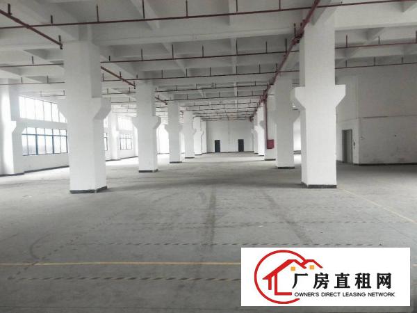  凤岗主干道边上原房东厂房实际面积出租单层面积1800平方。