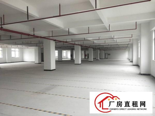  凤岗主干道边上原房东厂房实际面积出租单层面积1800平方。