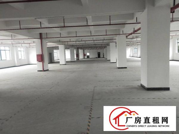  凤岗主干道边上原房东厂房实际面积出租单层面积1800平方。