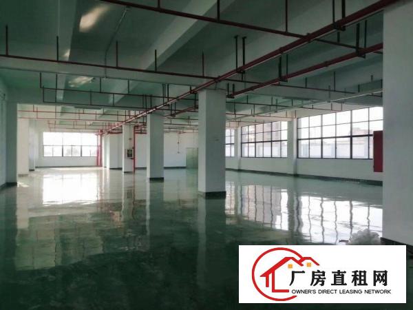  凤岗雁田工业区3万平方大型红本厂房出租大小可分500平方起租