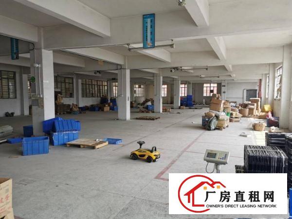  凤岗村委厂房二三楼各950平米出租带装修水电办公室地坪漆都有