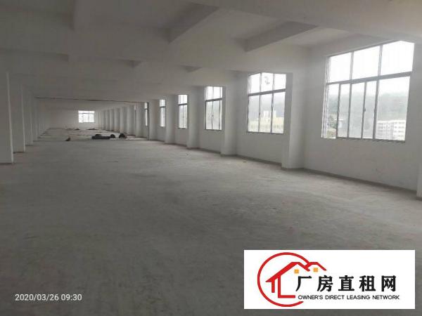  独门独院五金加工，快递仓储，电子加工，电商贸易行业，价格美丽