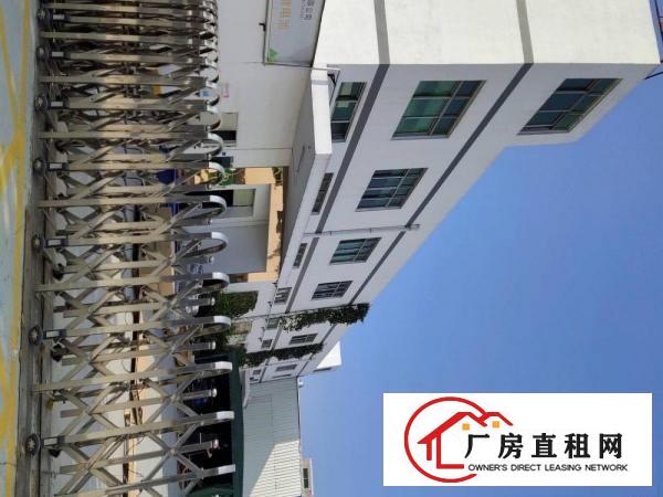  凤岗精品小独院厂房总面积4800平方出租