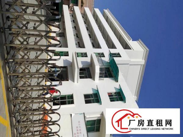  凤岗精品小独院厂房总面积4800平方出租