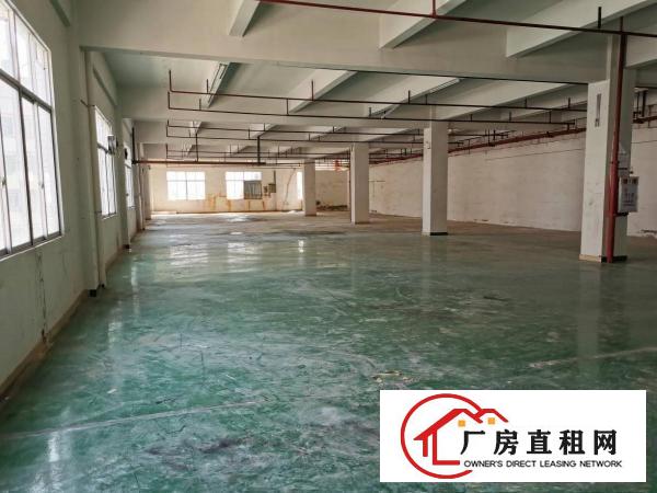  凤岗村委厂房1200平米出租享受免租政策押金只需一个月