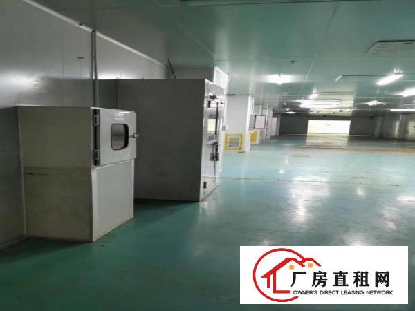  凤岗碧湖大道现成无尘车间2200平方水电齐全入驻即可生产