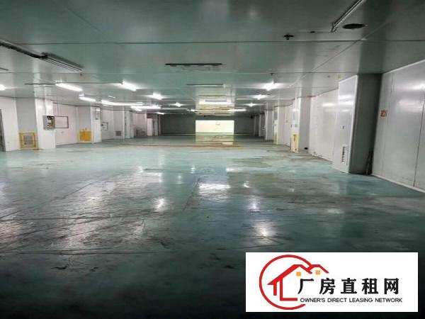  凤岗碧湖大道现成无尘车间2200平方水电齐全入驻即可生产