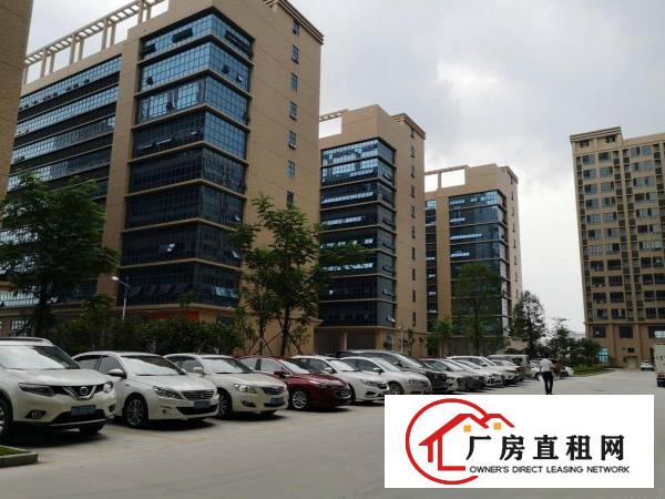  凤岗五联原房东6000高新产业园红本厂房出租200起租