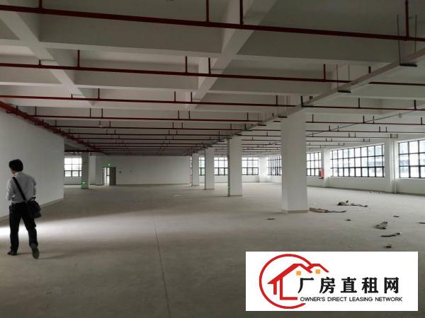  凤岗五联原房东6000高新产业园红本厂房出租200起租